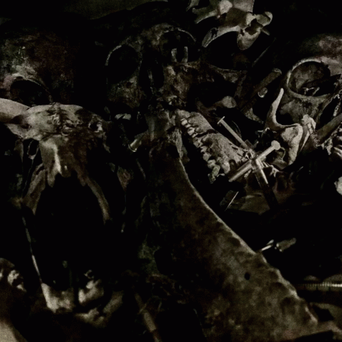 Darkest (USA) : Mortem Libidinis